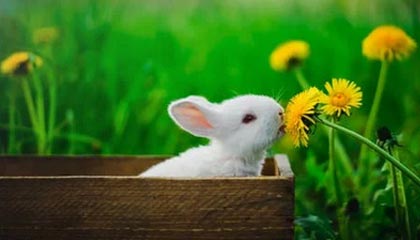 姆巴佩双响+贝林厄姆破门!皇马6连胜势如破竹,欧冠再战利物浦谁主沉浮?