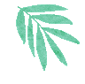 大参林数币满减福利，陪您度过炎炎夏日！