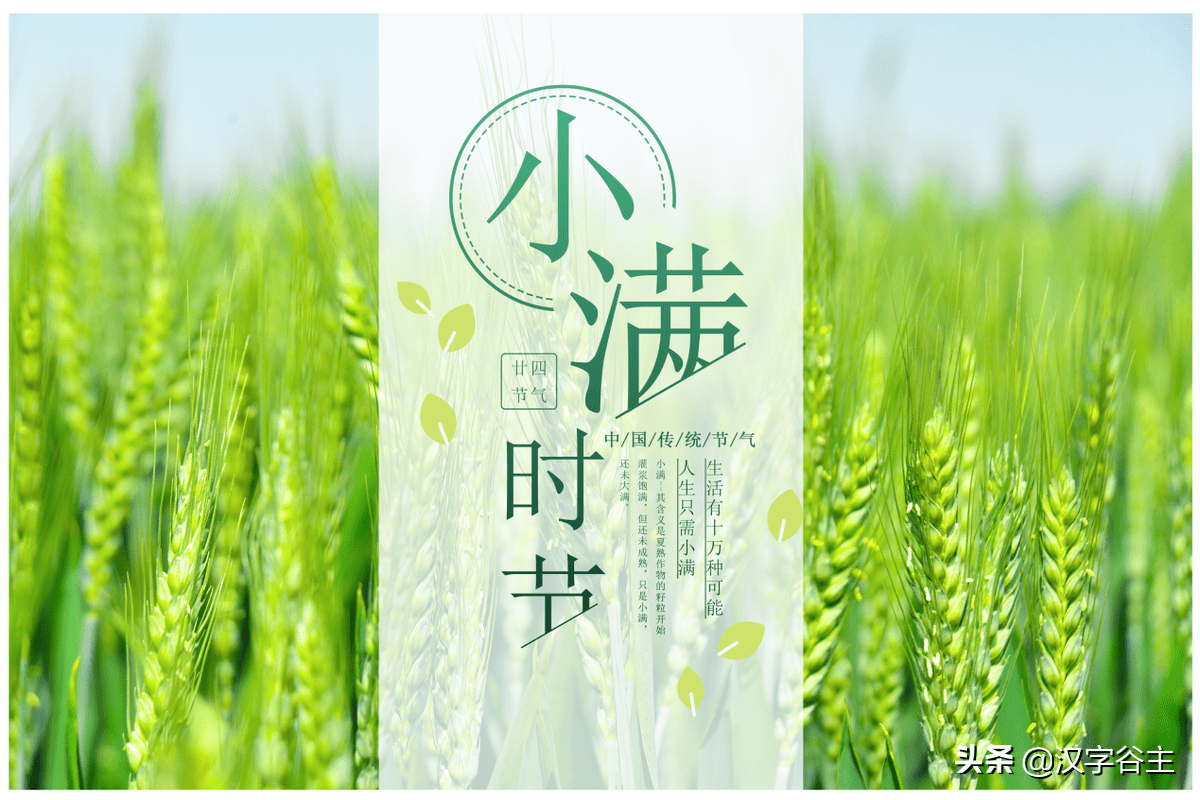 汉字博物之节气：“满”有字慧，小满，渐满，不大满