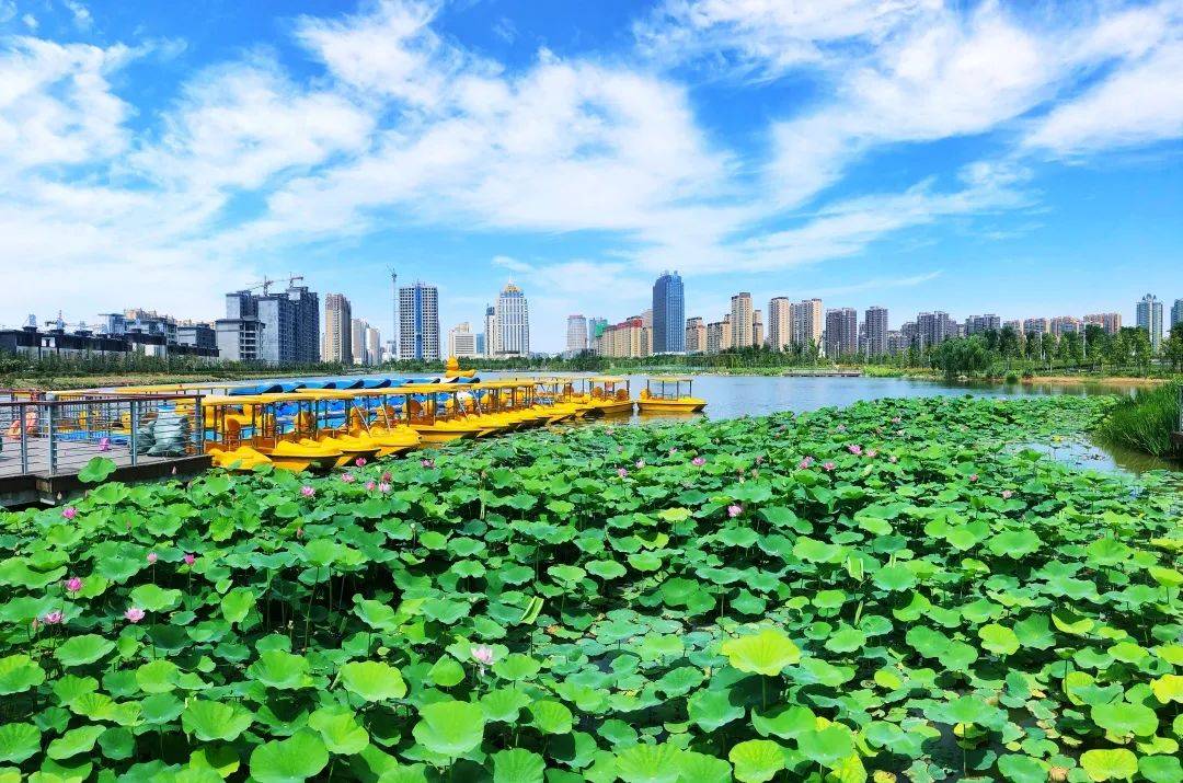 “共建清洁美丽安阳”抖音短视频大赛开始啦！现金大奖等你来拿！
