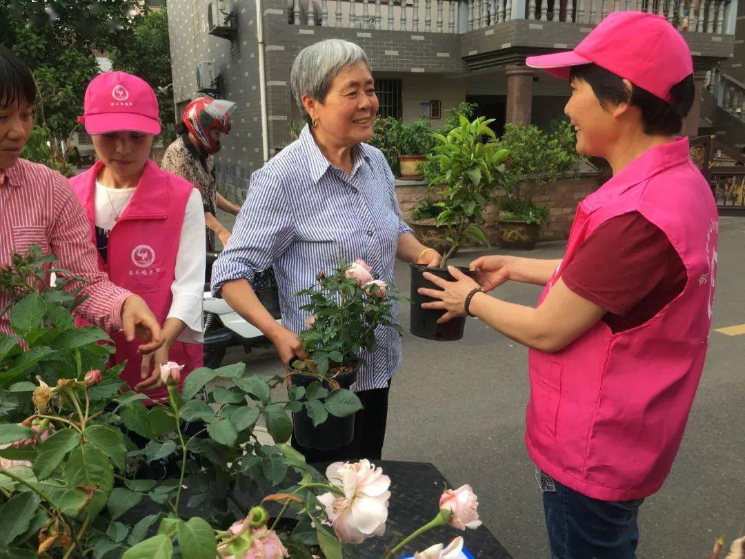 上虞区妇联下好绿币“先手棋” , 打好美丽庭院“主动仗”