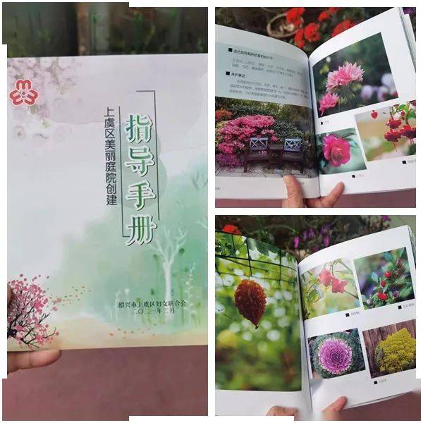 上虞区妇联下好绿币“先手棋” , 打好美丽庭院“主动仗”