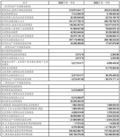 北京大豪科技股份有限公司2023第一季度报告