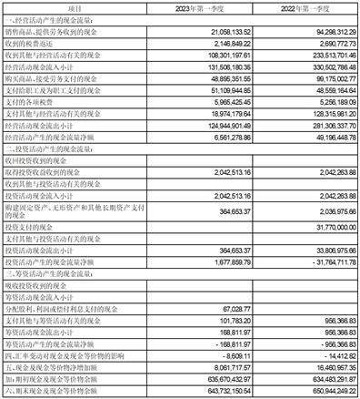北京大豪科技股份有限公司2023第一季度报告
