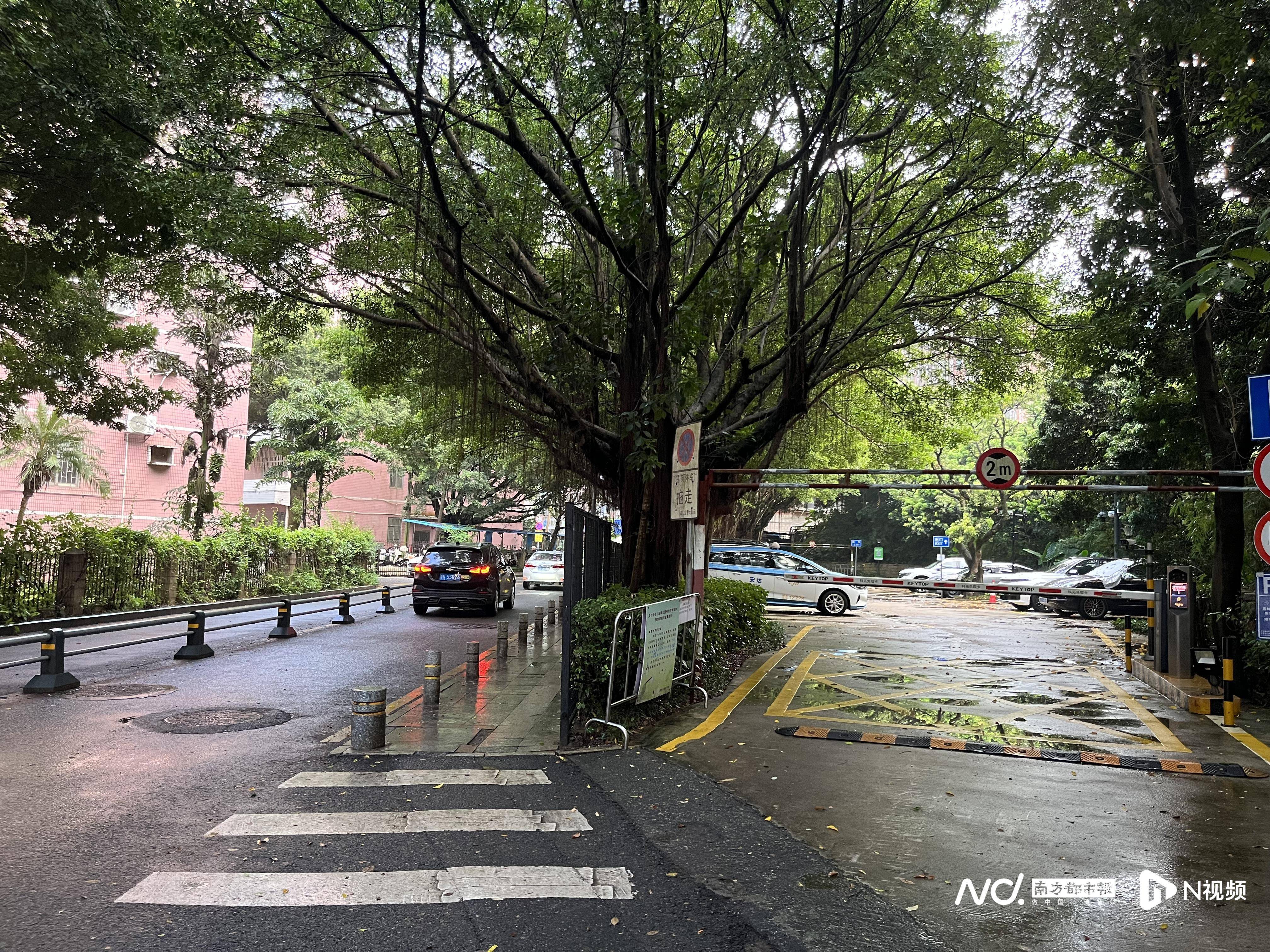 深圳一小区电动车管理引担忧,部门责令整改后,记者实探