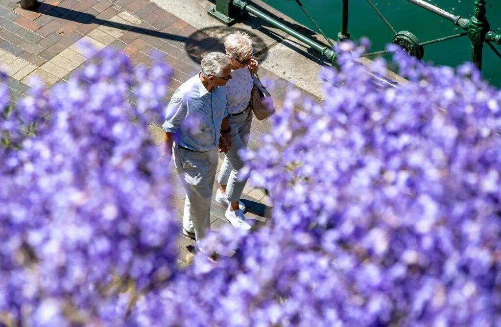 别说自己老了,大脑功能或60岁时达巅峰