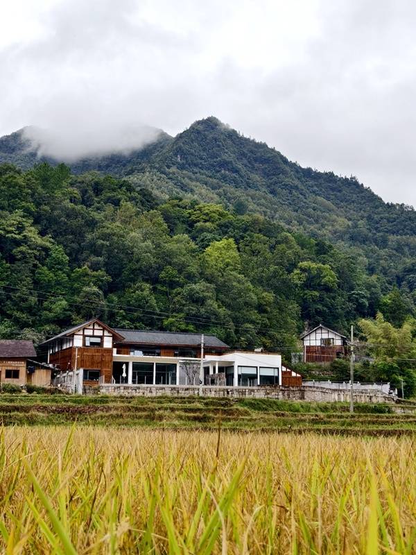 推窗见梯田!梧桐山民宿:把日子过成诗