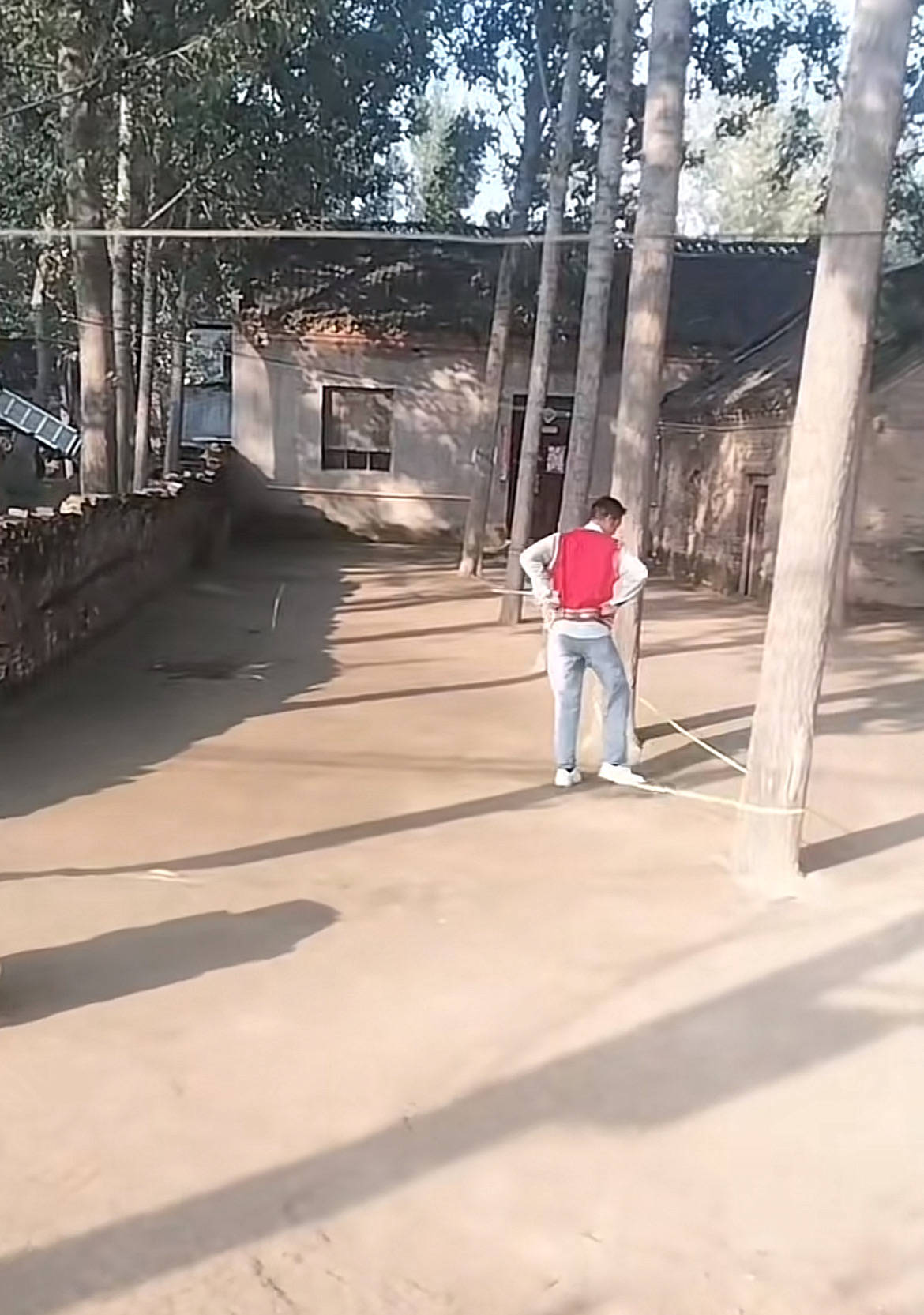 河南一大爷的院子因干净成网红打卡地,网友:像极了小时候家的样子,想拖鞋光脚丫子走