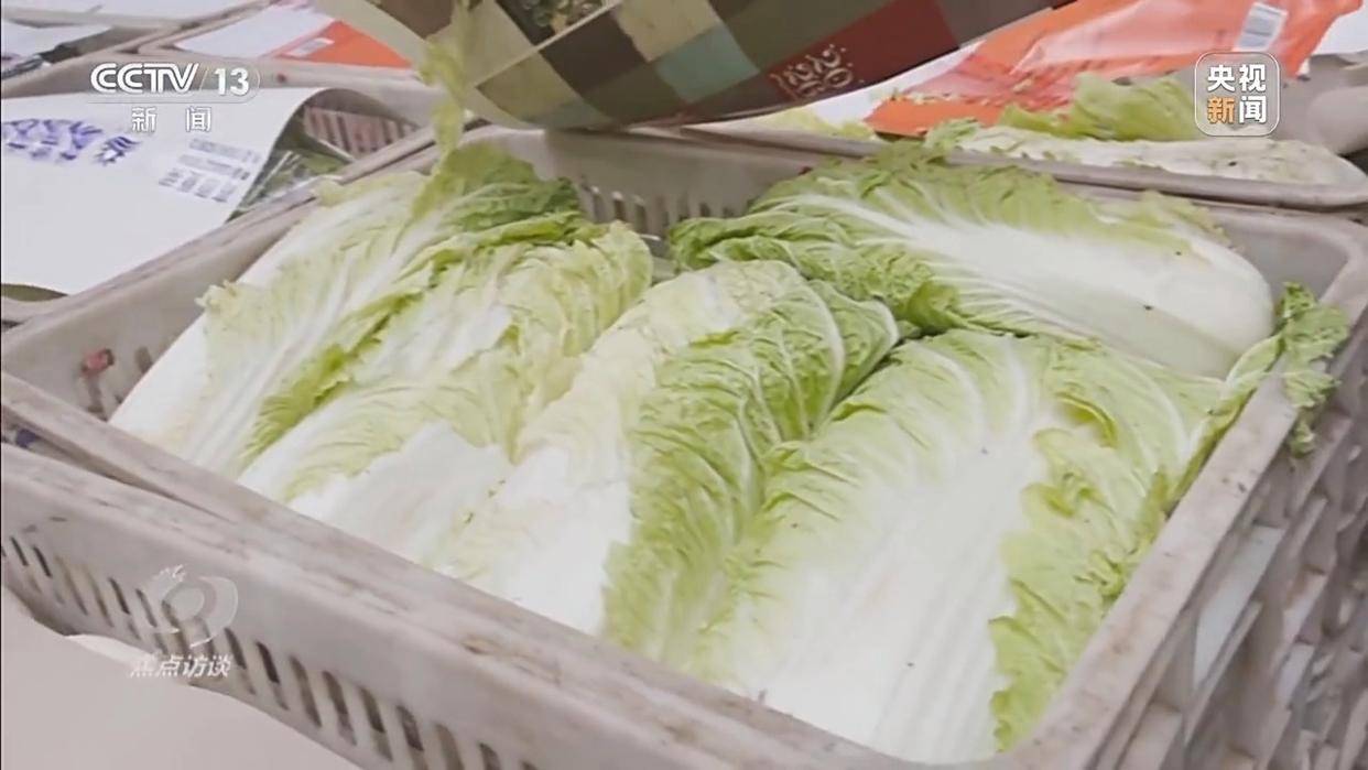 单棵售价超百元，起底“套牌白菜”背后的销售套路