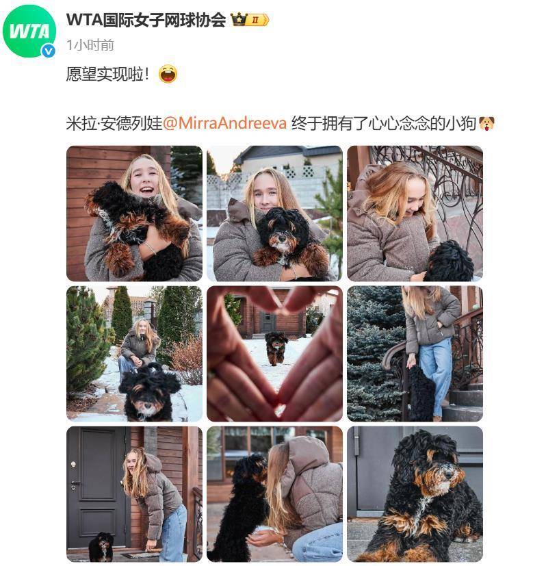 “小米辣”终于有了自己的小狗！曾说养狗是赢球的动力，WTA官方发“贺信”：愿望实现啦！
